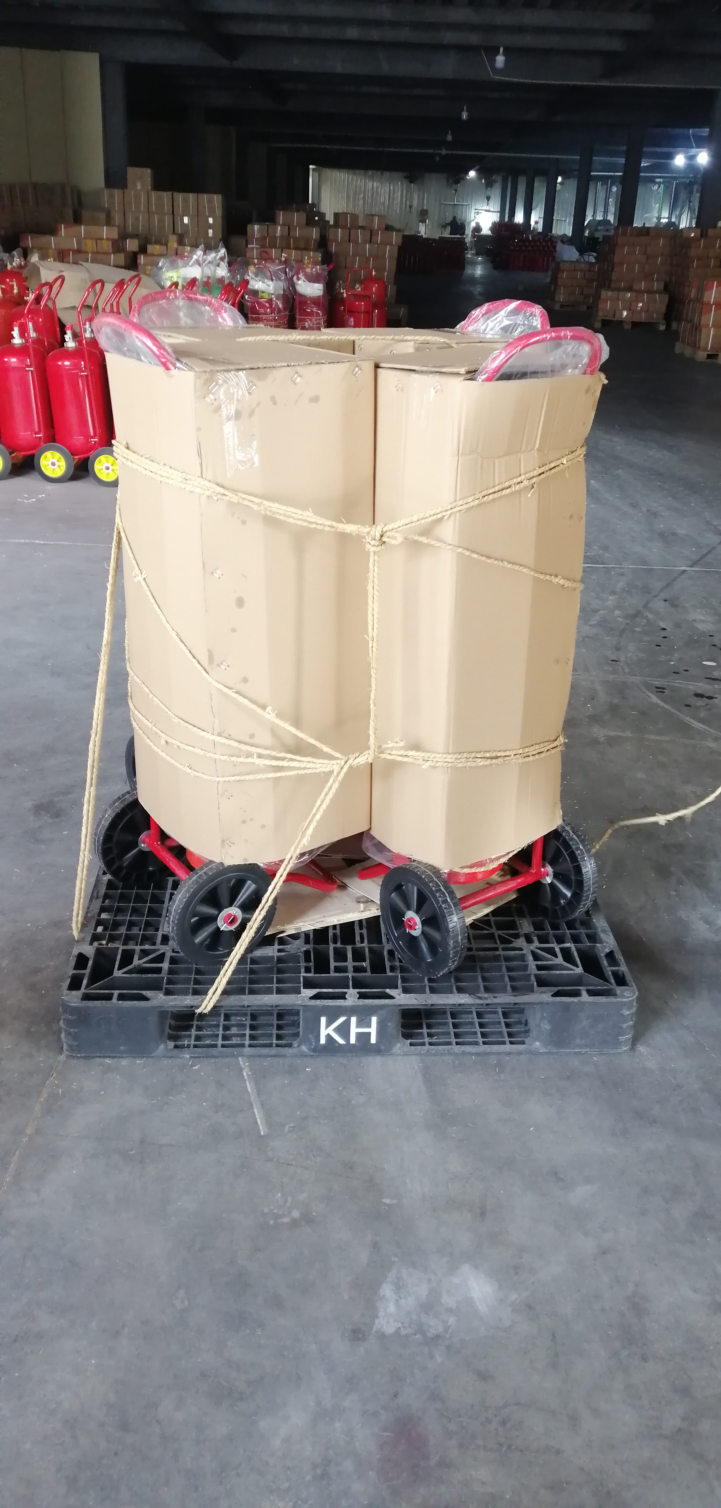 Extintor de Pó Seco 50KG